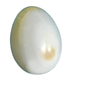 Onyx Egg Handcrafted Marble Egg