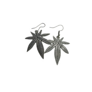 Elegant Design Earrings