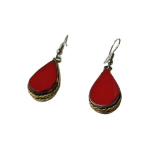 Elegant Design Earrings