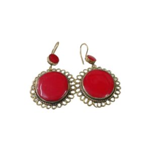 Elegant Design Earrings