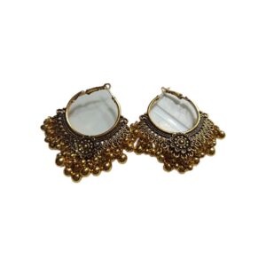 Elegant Design Earrings