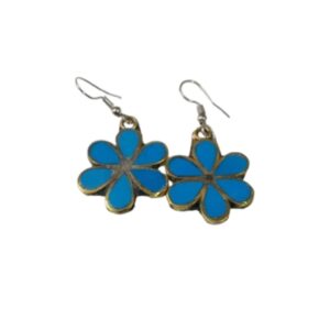 Elegant Design Earrings