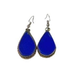Elegant Design Earrings