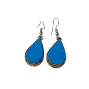 Elegant Design Earrings