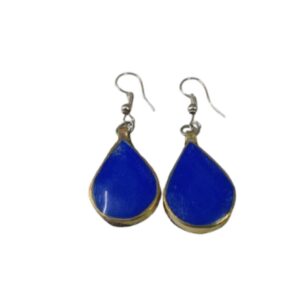 Elegant Design Earrings