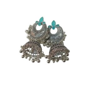 Elegant Design Earrings