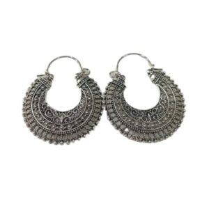 Elegant Design Earrings
