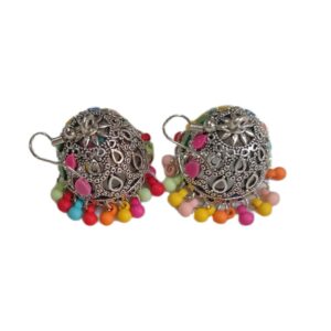 Elegant Design Earrings
