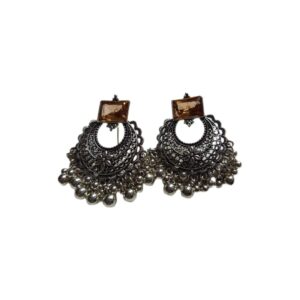 Elegant Design Earrings