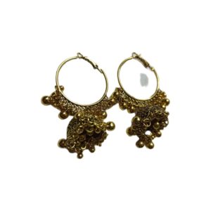 Elegant Design Earrings