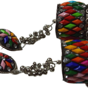 Elegant Design Earrings