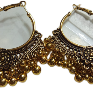 Elegant Design Earrings