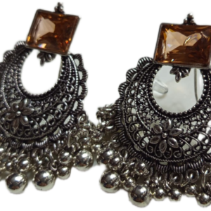 Elegant Design Earrings