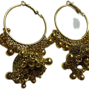 Elegant Design Earrings