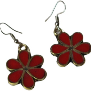 Elegant Design Earrings