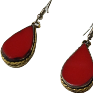 Elegant Design Earrings