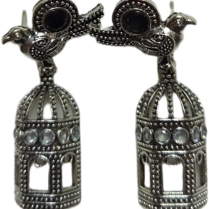 Elegant Design Earrings
