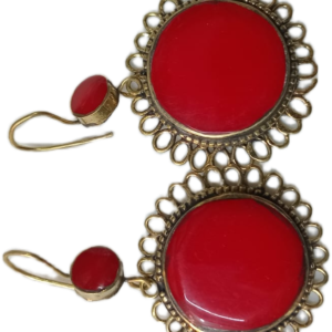 Elegant Design Earrings
