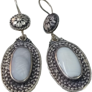 Elegant Design Earrings