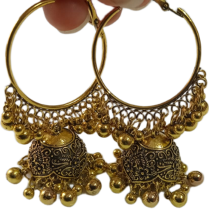 Elegant Design Earrings