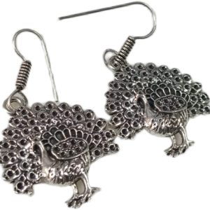Elegant Design Earrings