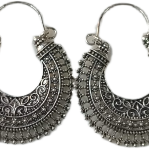 Elegant Design Earrings