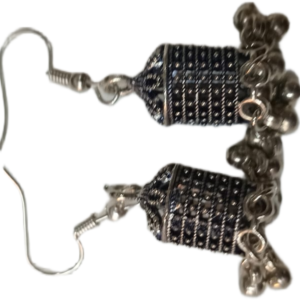 Elegant Design Earrings