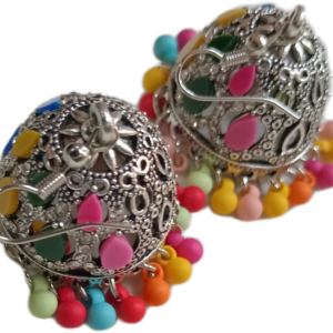 Elegant Design Earrings