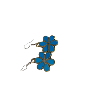 Elegant Design Earrings