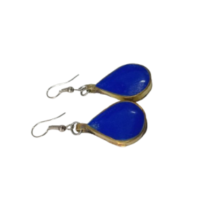 Elegant Design Earrings