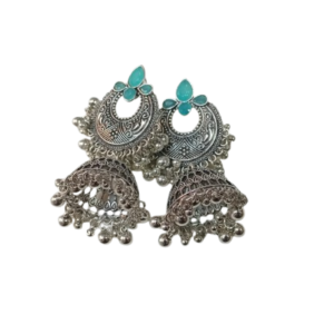 Elegant Design Earrings