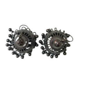 Elegant Design Earrings