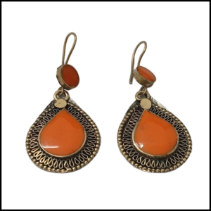 Elegant Design Earrings