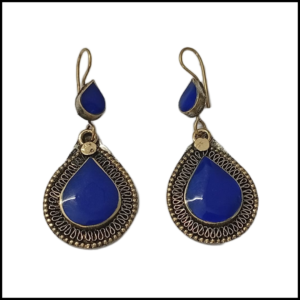Elegant Design Earrings
