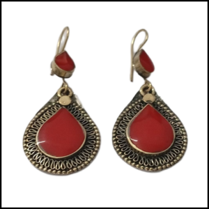 Elegant Design Earrings