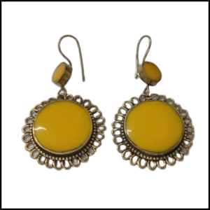 Elegant Design Earrings