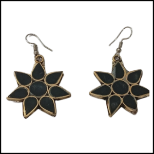 Elegant Design Earrings