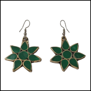 Elegant Design Earrings