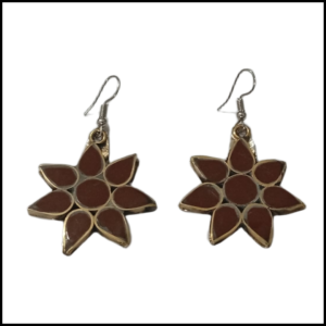 Elegant Design Earrings