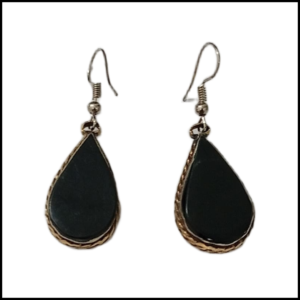 Elegant Design Earrings