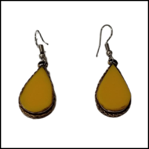 Elegant Design Earrings