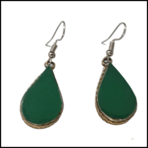 Elegant Design Earrings