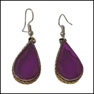 Elegant Design Earrings