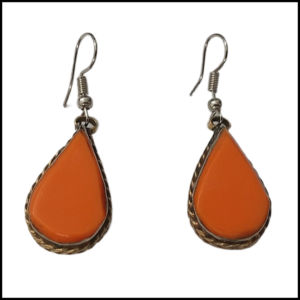 Elegant Design Earrings