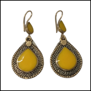 Elegant Design Earrings