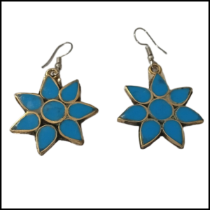 Elegant Design Earrings