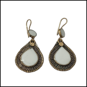 Elegant Design Earrings
