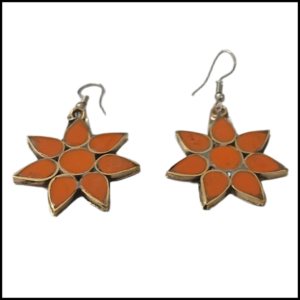 Elegant Design Earrings