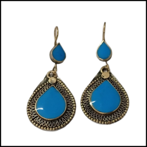 Elegant Design Earrings