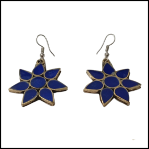 Elegant Design Earrings